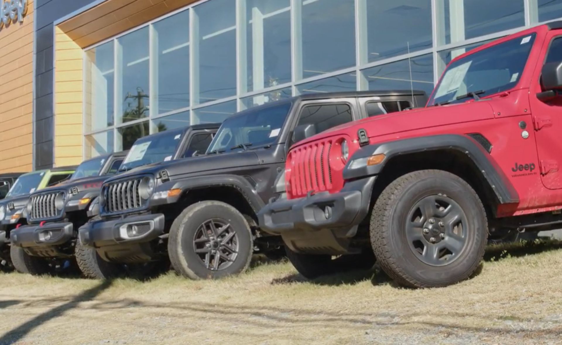 A row of Jeep Wrangler SUVs, including a red model and several dark grey and black models, parked on a grassy display area in front of the large glass showroom windows of a modern Jeep dealership building in Raleigh.