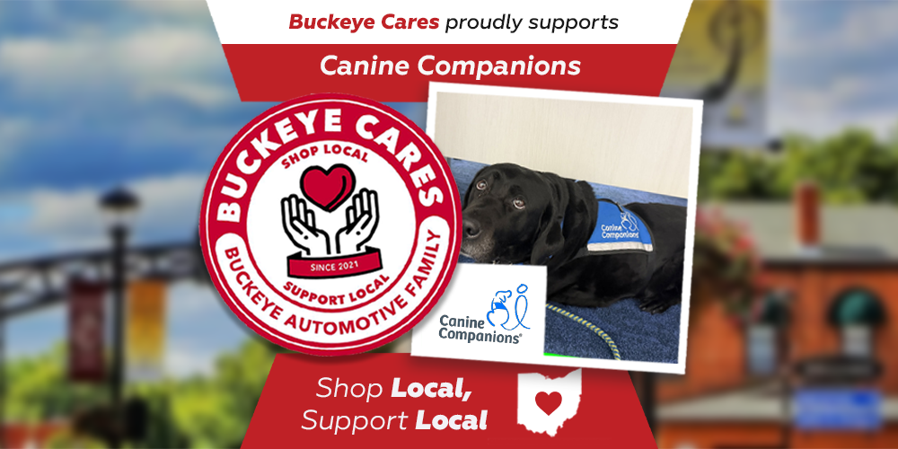banner-image