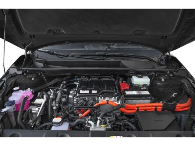 image-14