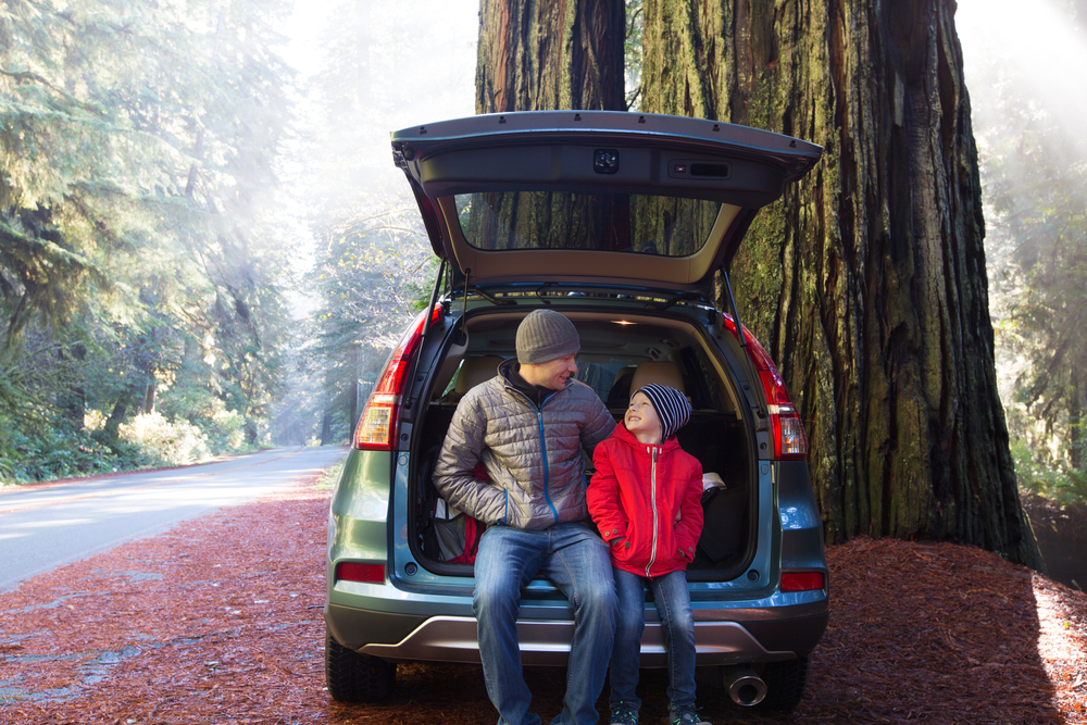 A Father and Son both in Beanies are sitting in the trunk of a car with its trunk open, behind the car is a massive tree and in the background you see theyre next to a road with a lot of forest surround them