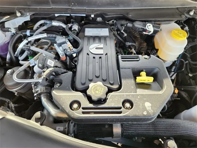 image-19