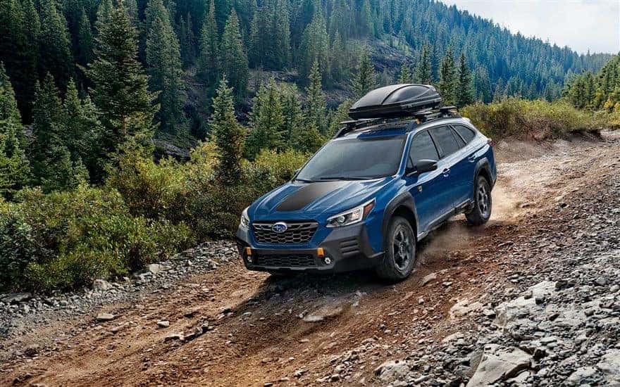 Blue Subaru Outback Wilderness with a roof box on a forest trail