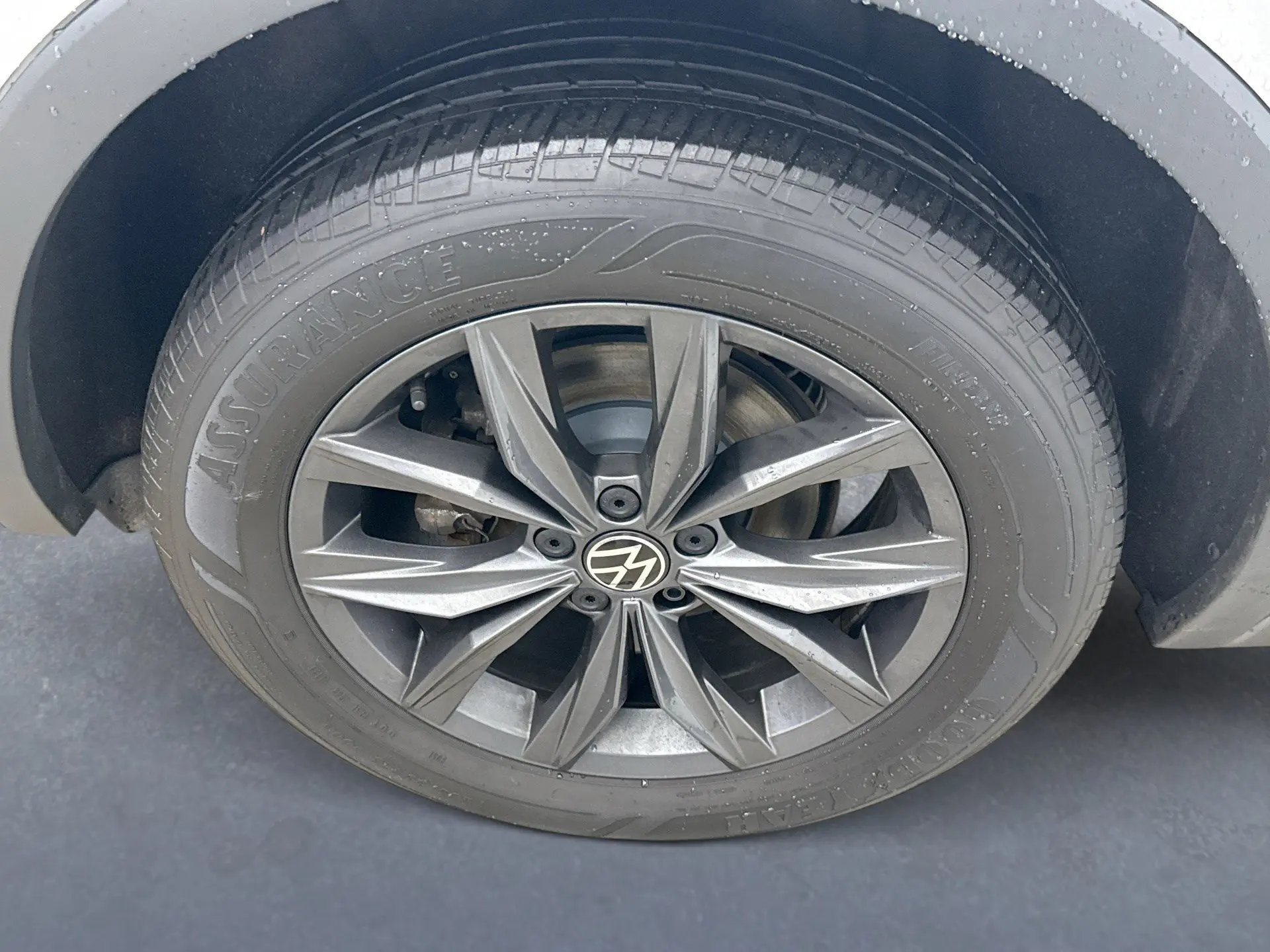 image-19