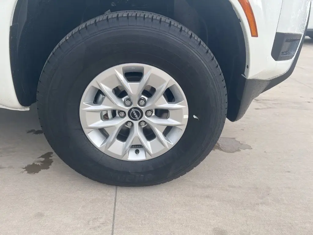 image-11