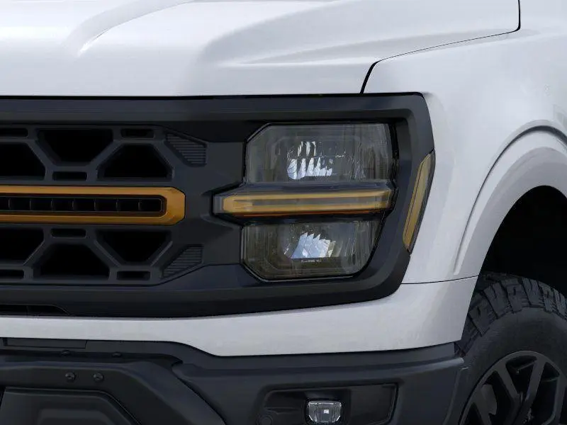 2025 Ford F-150 Tremor photo 16