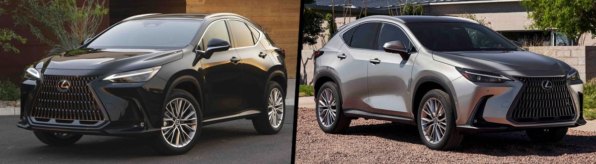 2025 Lexus NX vs 2025 Lexus NX Hybrid