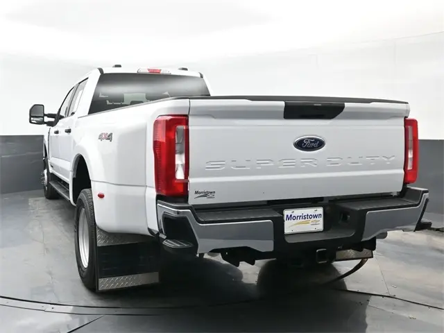 image-11
