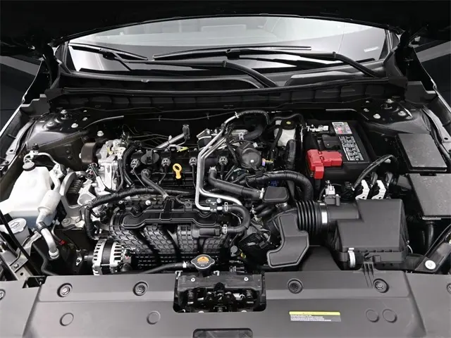 image-16