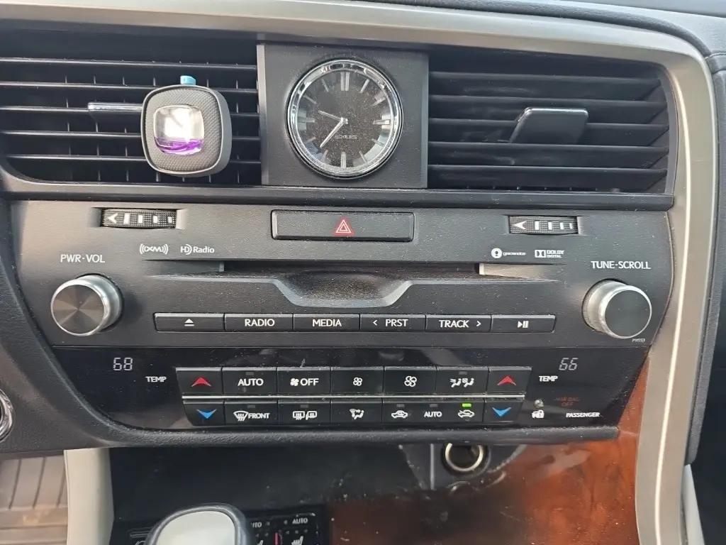 image-19