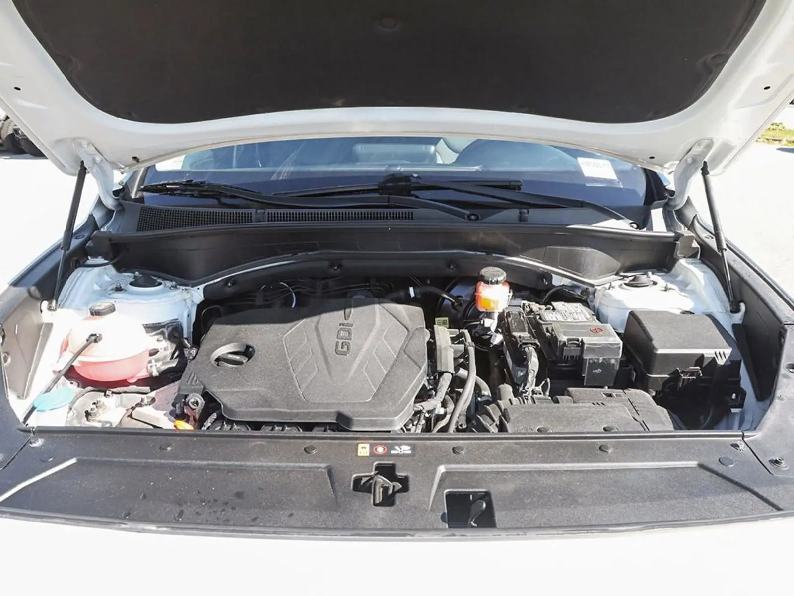 image-7