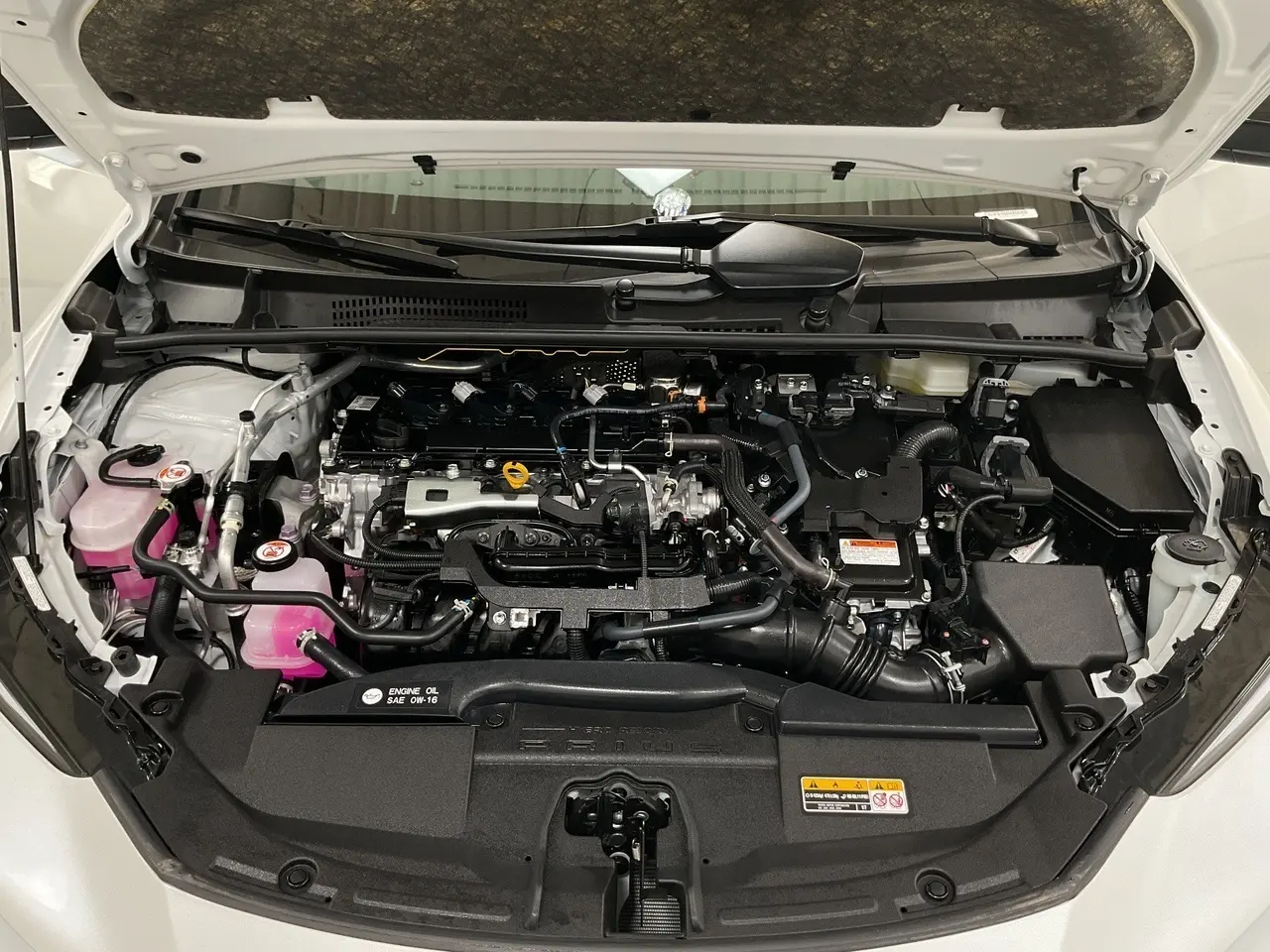 image-19