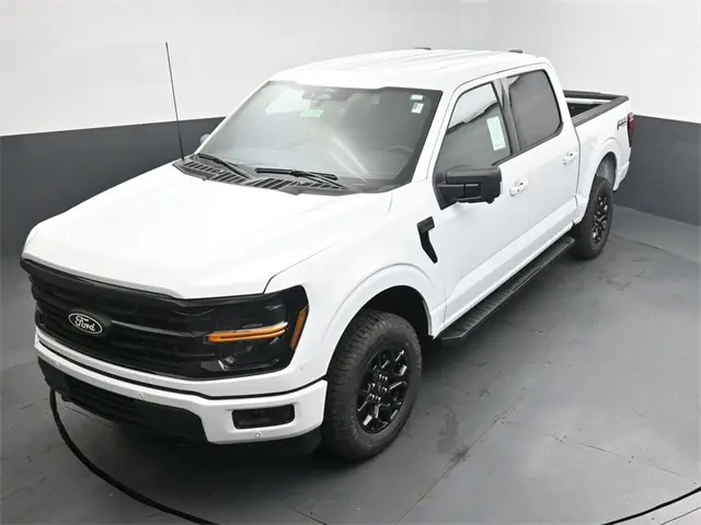image-17