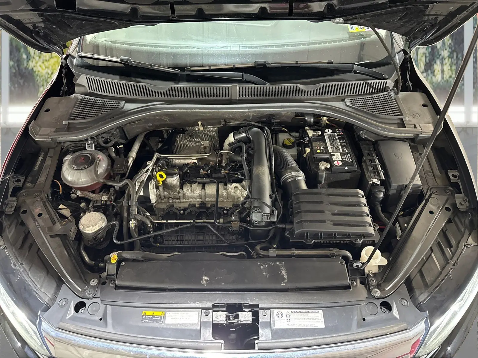 image-19