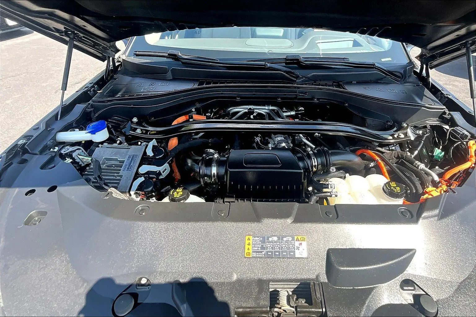 image-8