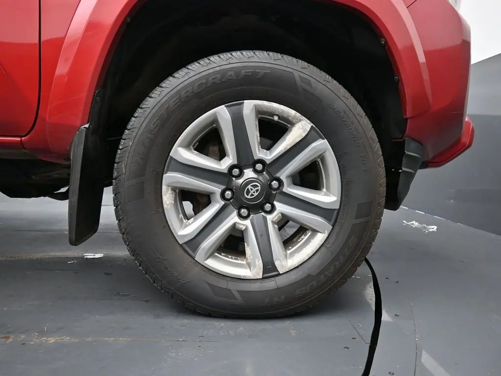 image-10