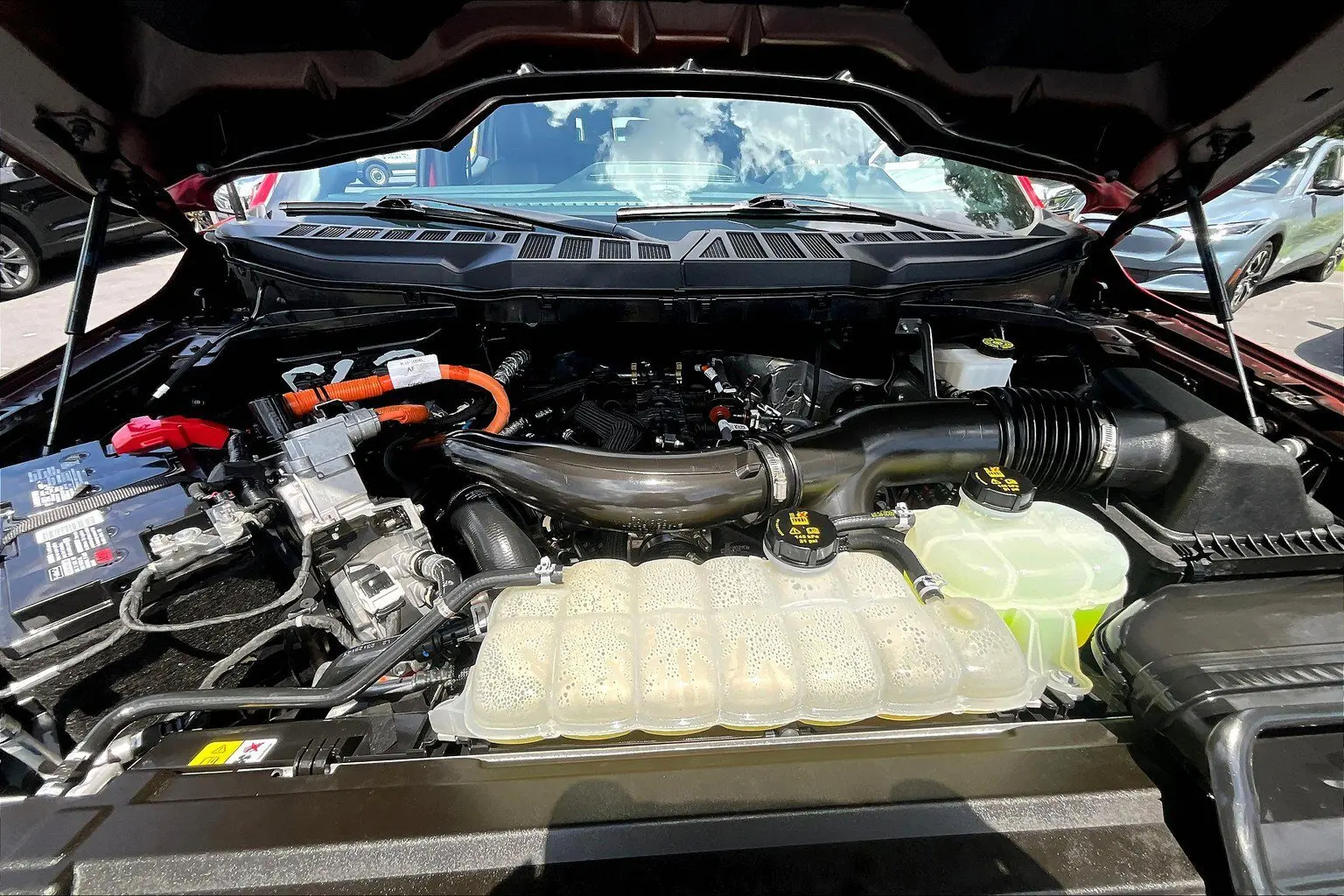 image-8