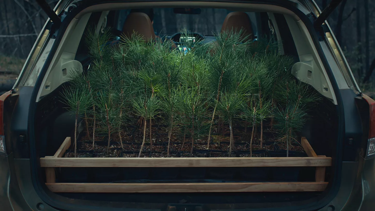 Subaru Goes Green Forrest Foundation