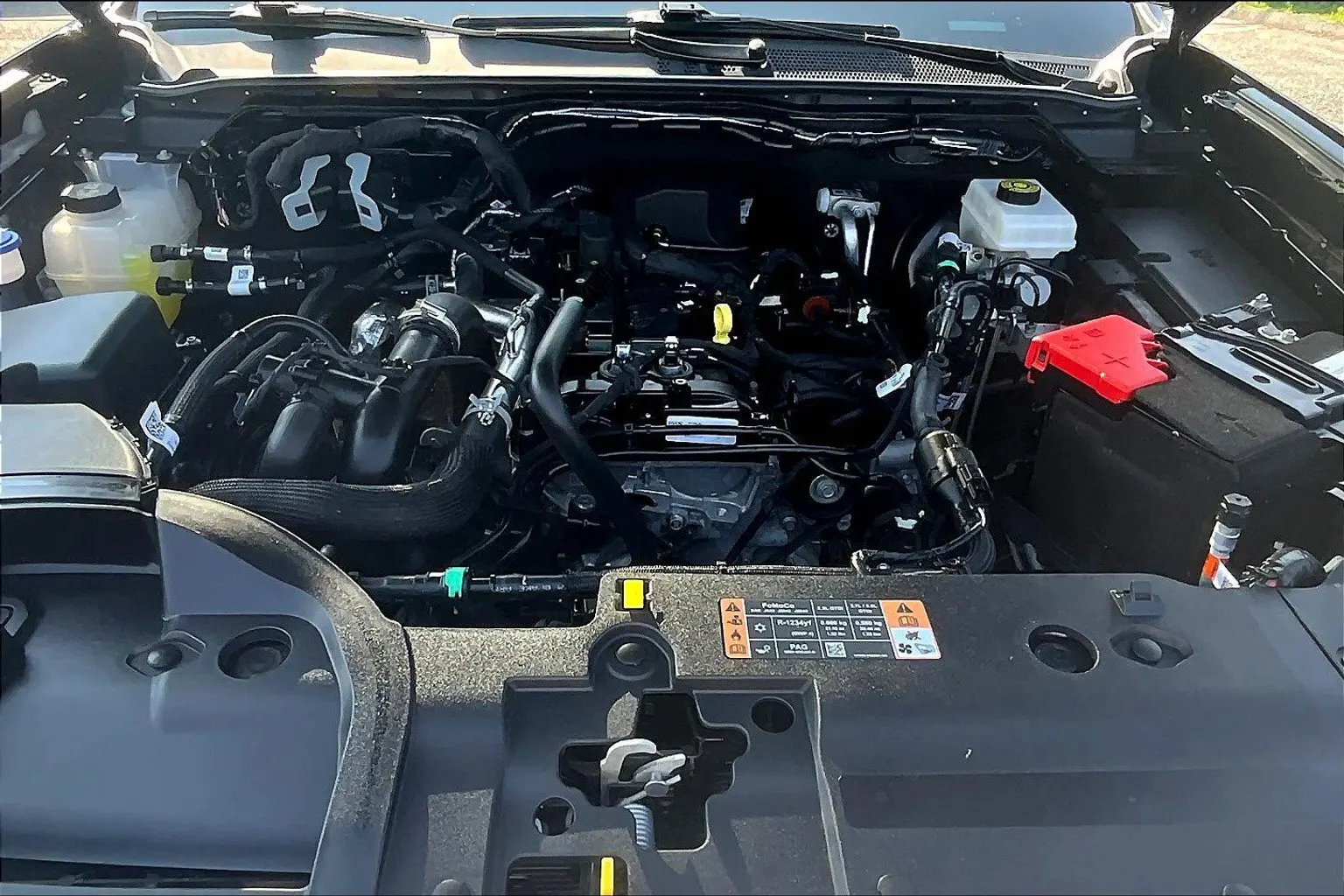 image-11