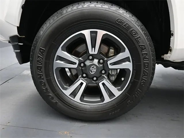 image-17