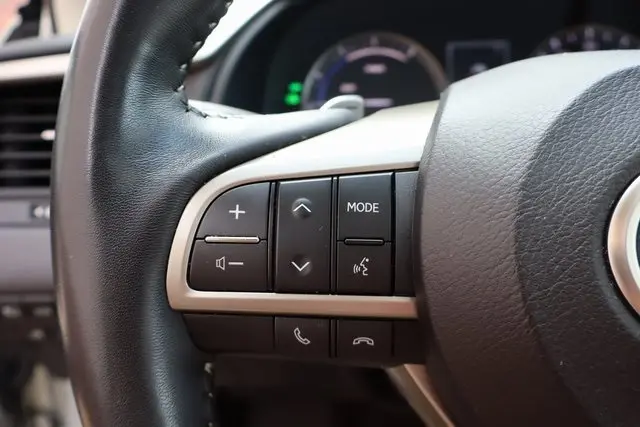 2021 Lexus RX 450h photo 14