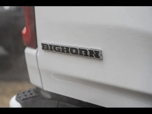 image-19