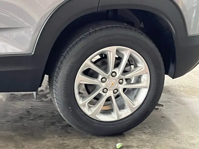 image-7
