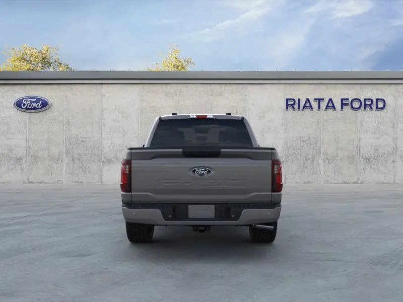image-4