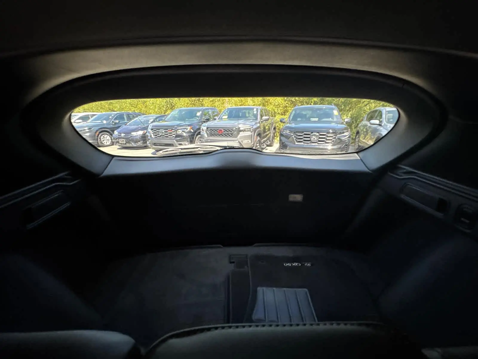 2024 Infiniti QX50 SPORT photo 38