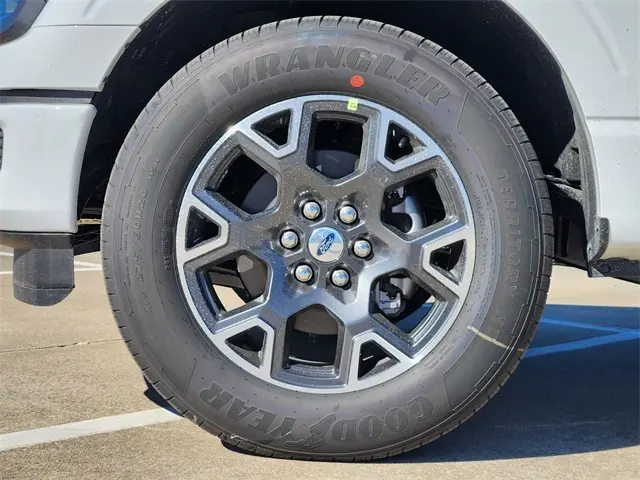 image-6