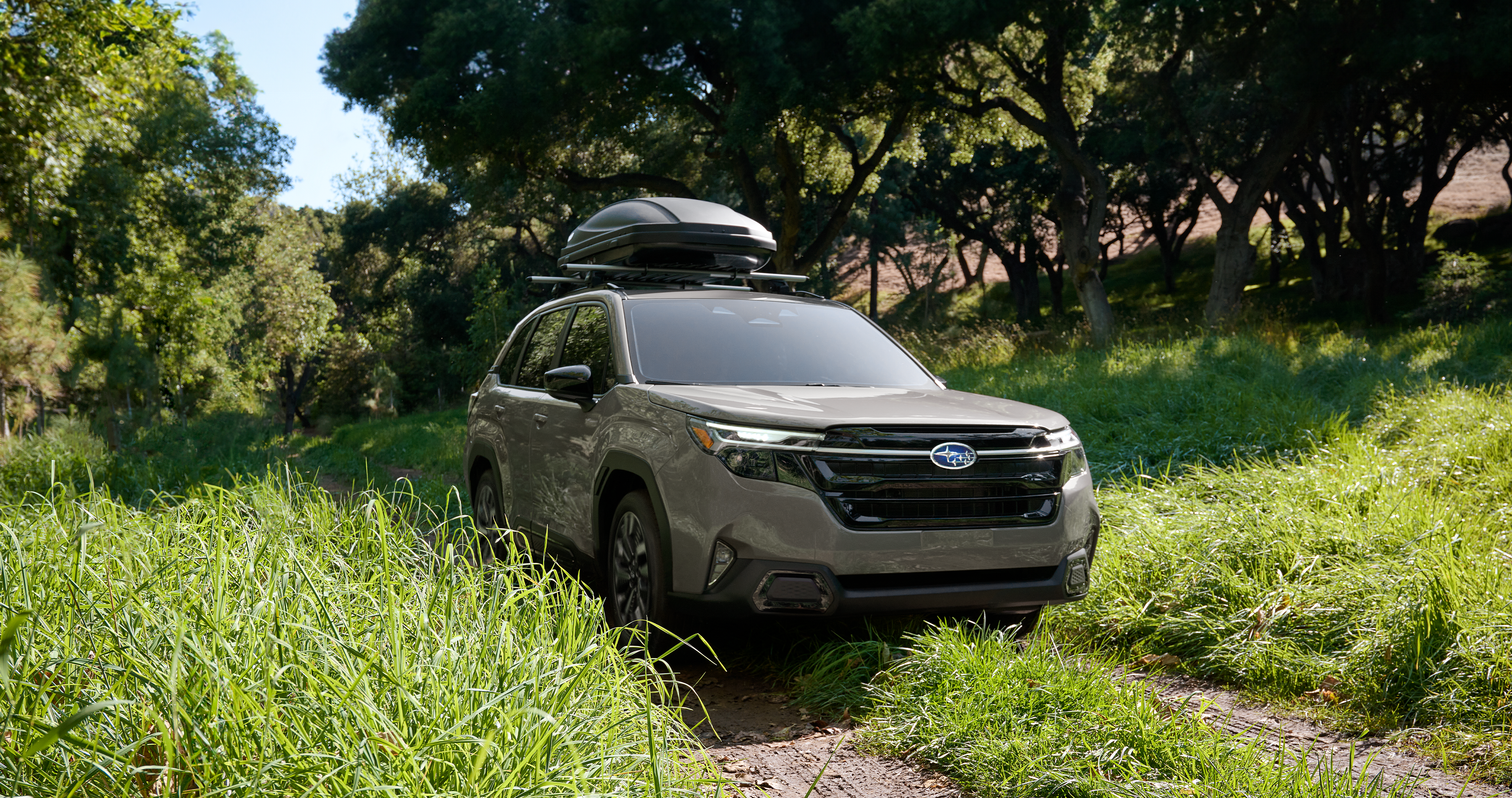 25_FOR_hero_gallery_1.png / A Subaru Forester AWD SUV with a cargo carrier on its roof drives on a path through high grass.