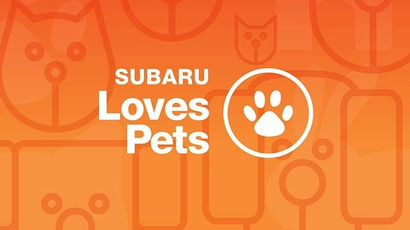 Subaru Loves Pets