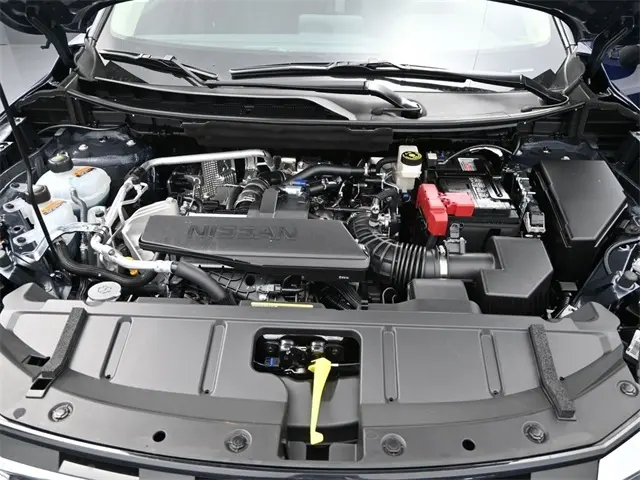 image-13