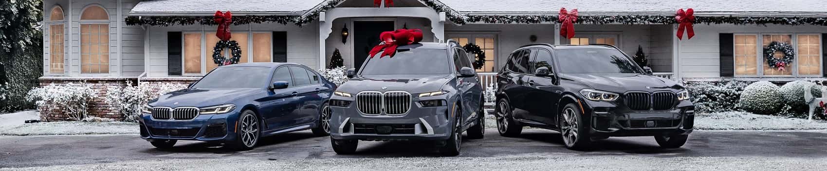 BMW X5 in a scenic setting