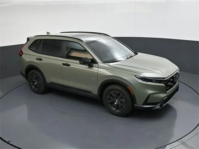 image-15