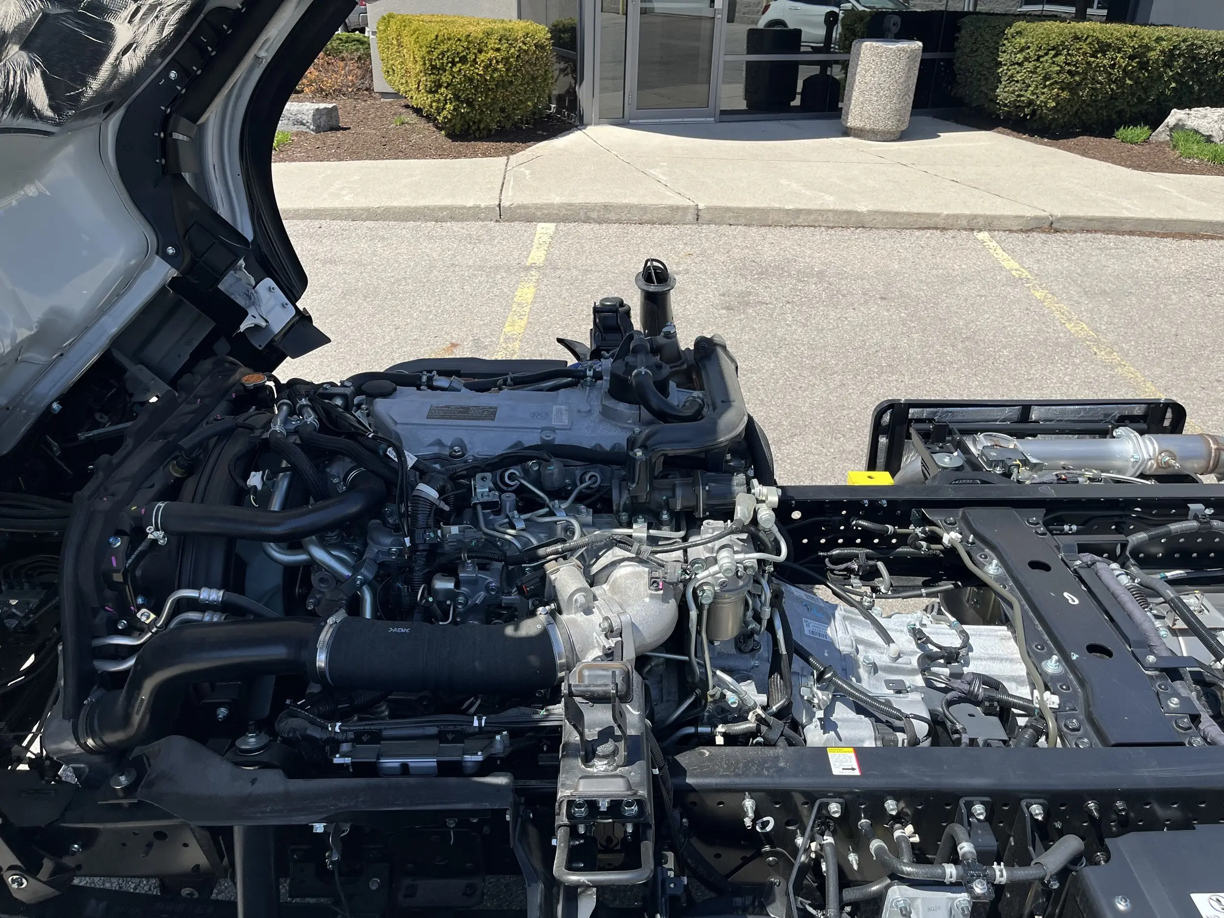image-6