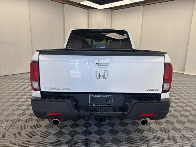 image-4