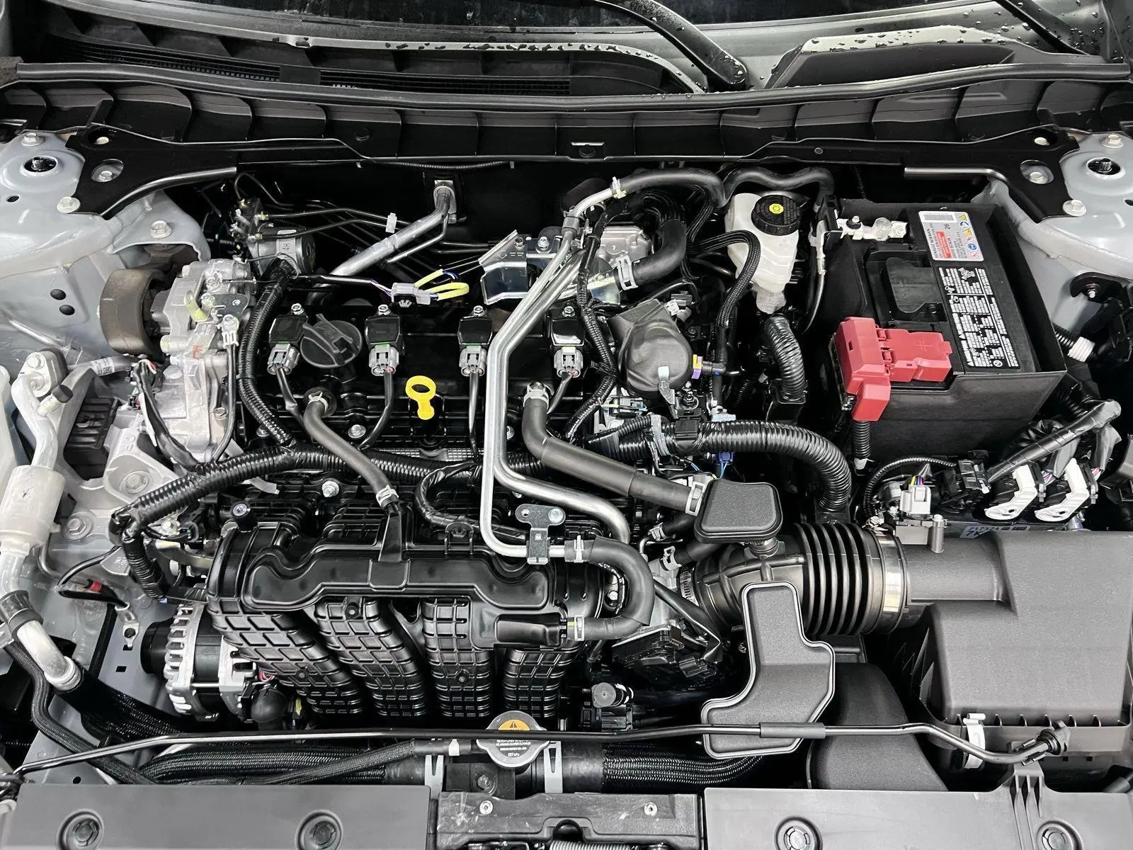 image-7