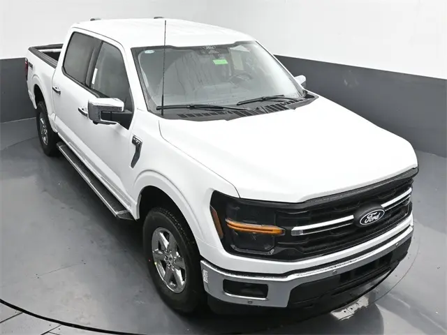 image-19