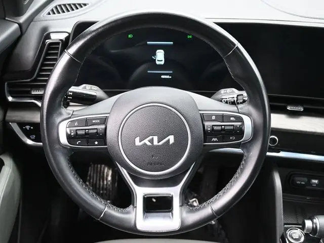 image-19