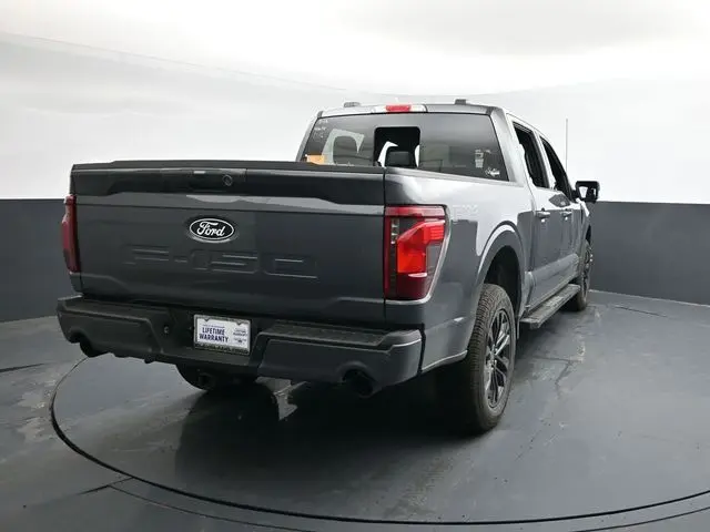 image-7