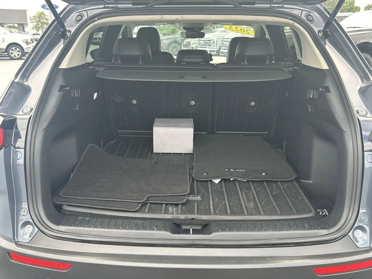 image-7