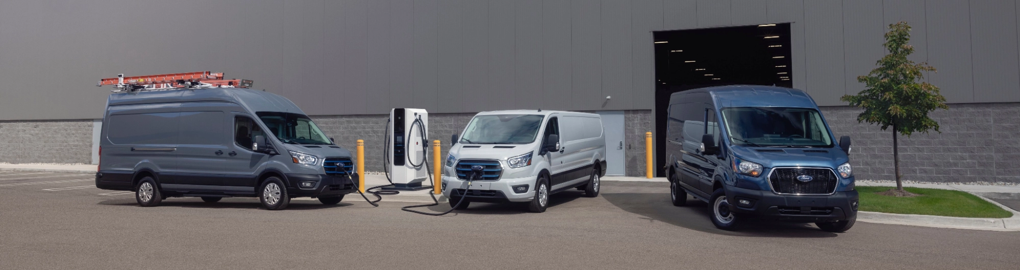 Ford Transit Lineup
