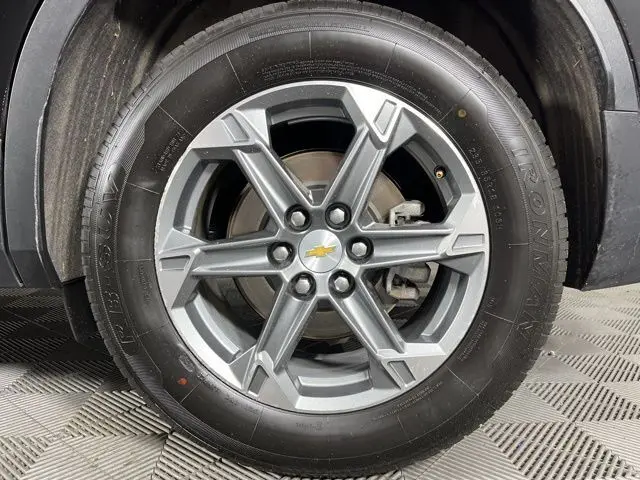 image-7