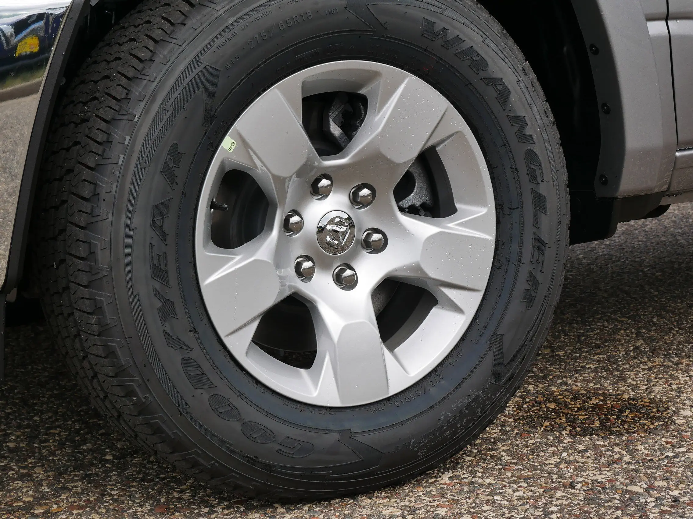 image-4