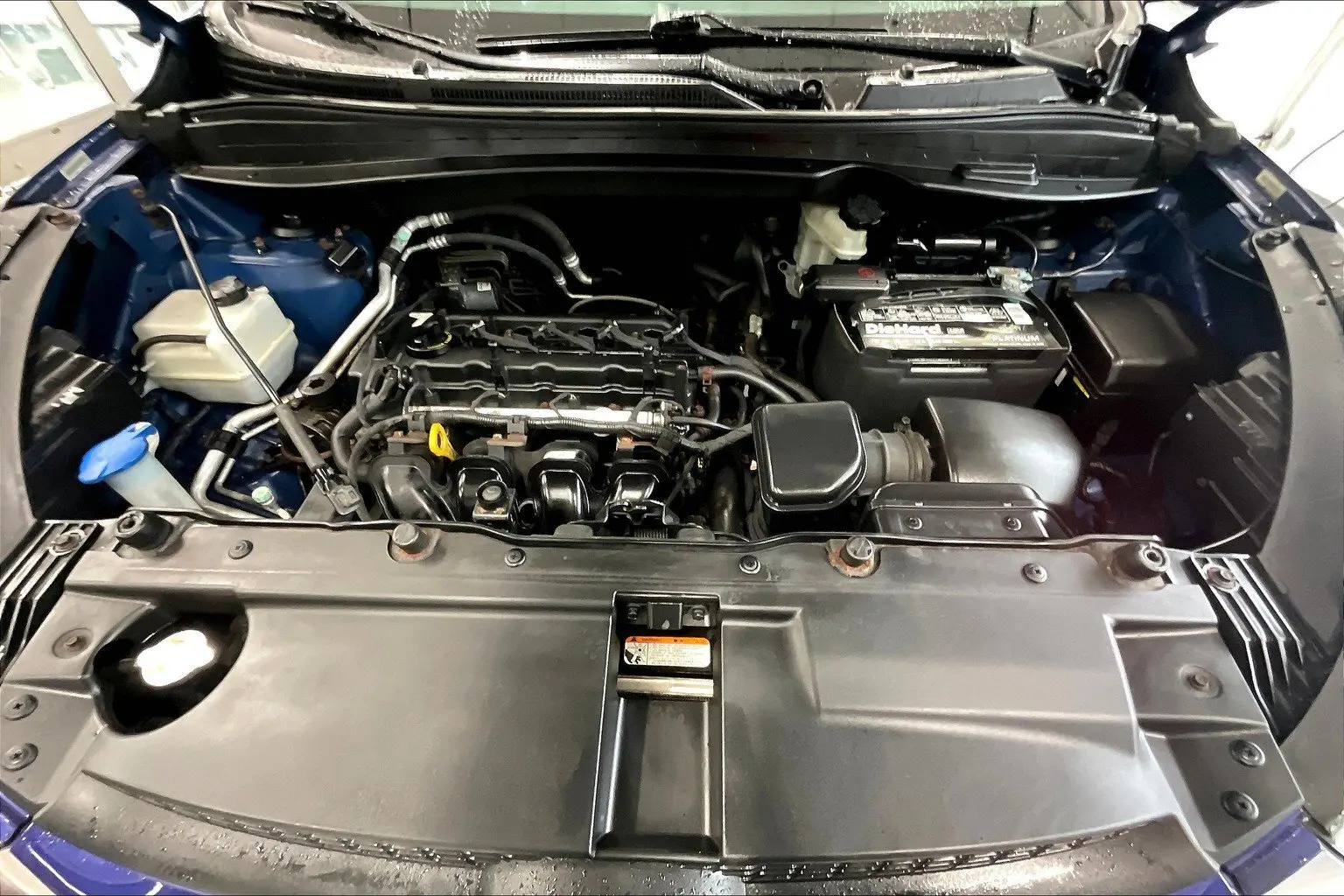 image-8