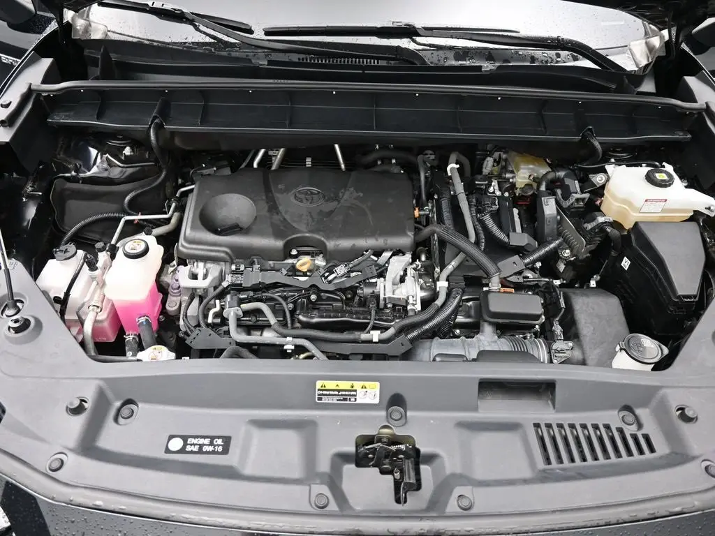 image-19