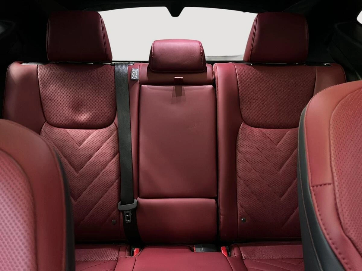 2026 Lexus NX 450h+ Luxury - Photo 10