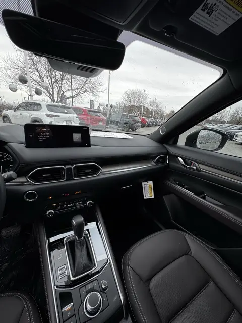 image-11