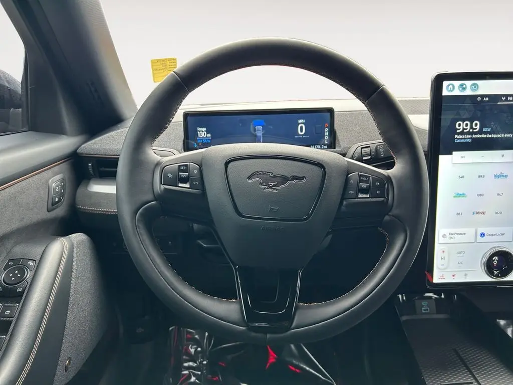 2022 Ford Mustang Mach-E GT photo 14