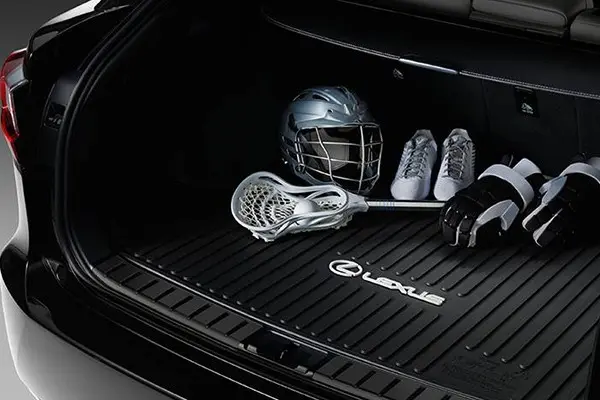 Lexus trunk with gear
